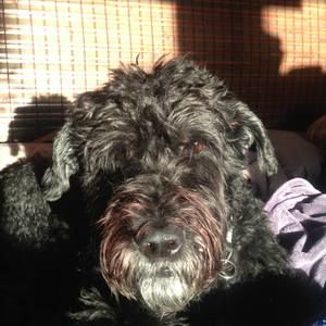 Meet your Posher, Suzy